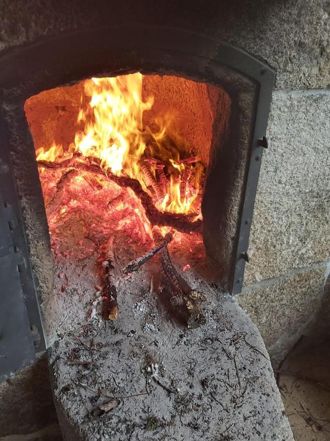 Quinta Das Regueiras Viseu Exteriör bild