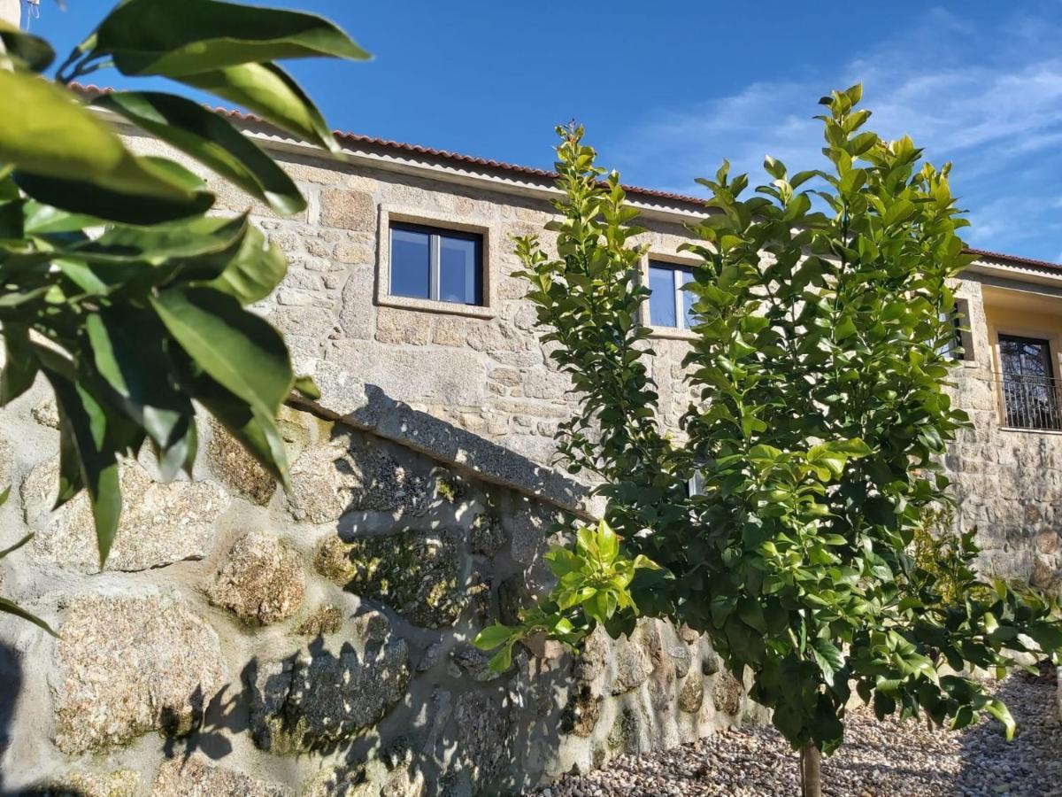Quinta Das Regueiras Viseu Exteriör bild
