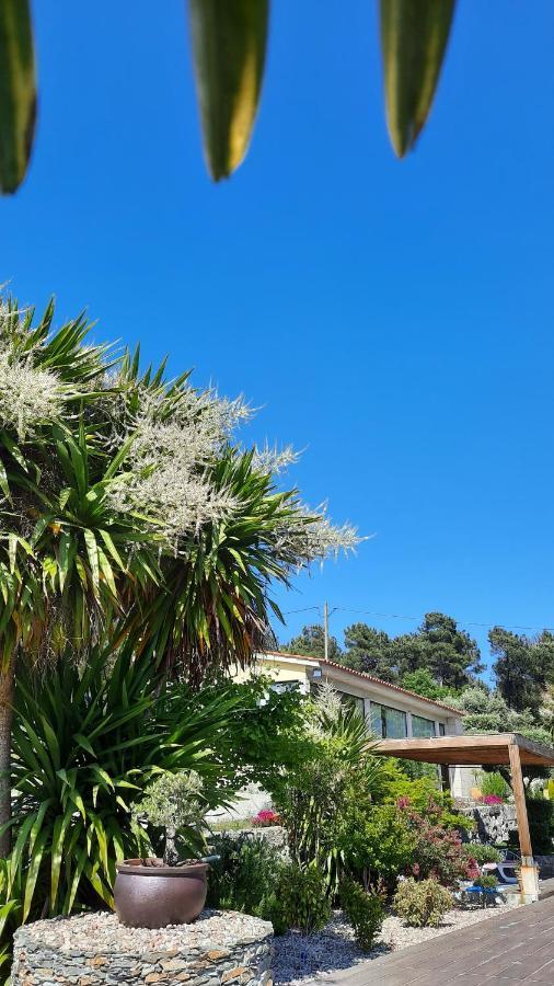 Quinta Das Regueiras Viseu Exteriör bild
