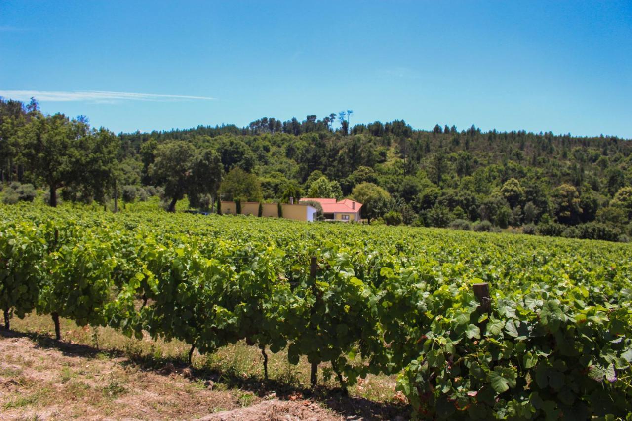Quinta Das Regueiras Viseu Exteriör bild