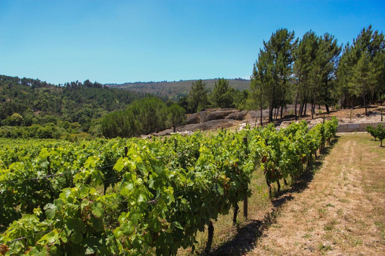 Quinta Das Regueiras Viseu Exteriör bild