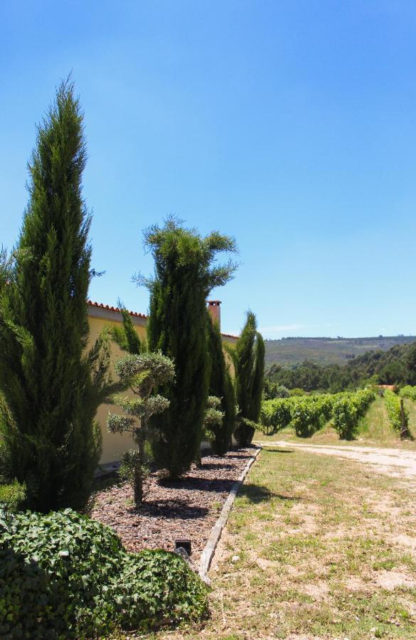 Quinta Das Regueiras Viseu Exteriör bild