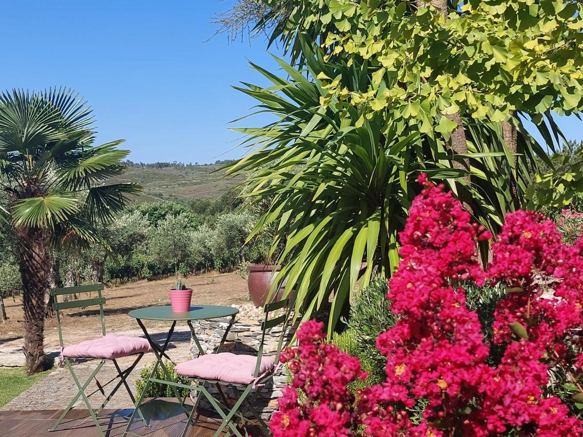 Quinta Das Regueiras Viseu Exteriör bild
